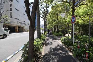 敷地東側の前面道路