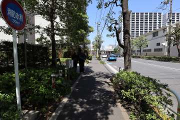 敷地東側の前面道路　
