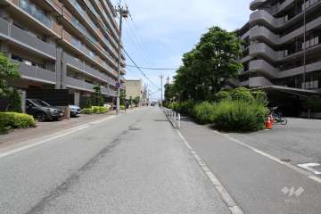 敷地北側の前面道路（西側から）