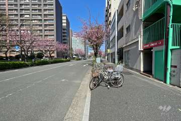 敷地南西側の前面道路（南東側から）
