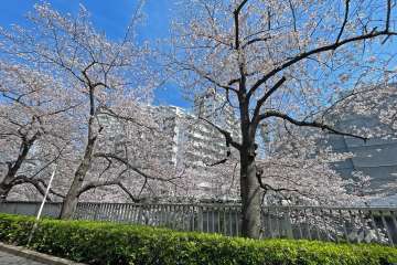 春に川沿いの桜が楽しめる目黒川に近接しています。