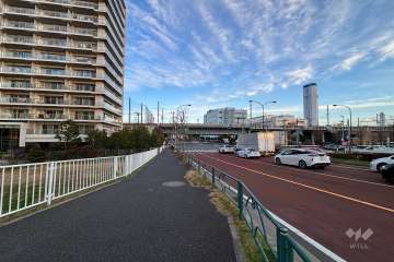 敷地南側の前面道路（西側から）