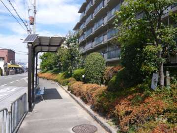 敷地西側、目の前にバス停があります。