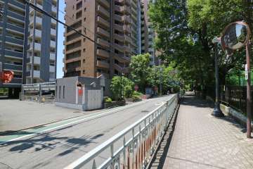 敷地北側の前面道路。花のみちに続く道です。