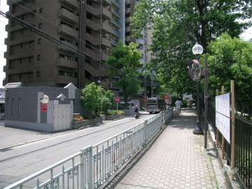 敷地の北側の道路。交通量は少し多めですが、街路樹が美しく、歩道があります。
