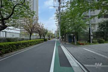 敷地北東側の前面道路（北西側から）
