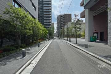 敷地北西側の前面道路（北東側から）