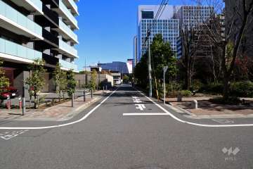 敷地北東側の前面道路(北西側から)