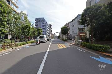 敷地西側の前面道路（北側から）