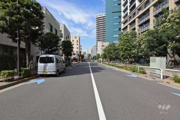 敷地西側の前面道路（南側から）