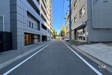 敷地南側の前面道路（西側から）