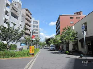 西側前面道路。きれいな舗道で、南向き一方通行です。