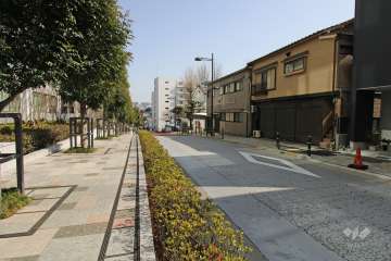 敷地南側の前面道路