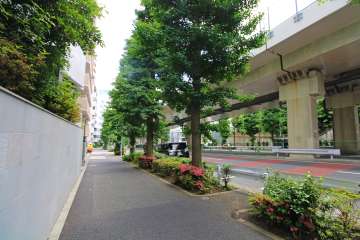敷地西側の前面道路（北側から）