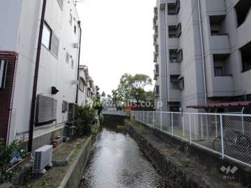 敷地内の植栽スペース