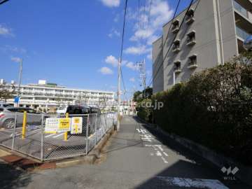 敷地西側の前面道路。敷地の周囲には生垣が設けられています。