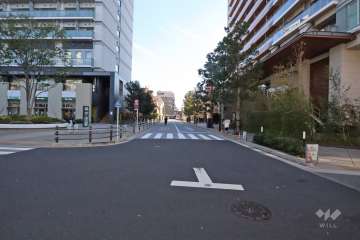 敷地南西側の前面道路（北西側から）