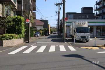 敷地南西側の前面道路(北西側から)