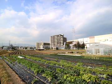 カルム西伊丹の遠景