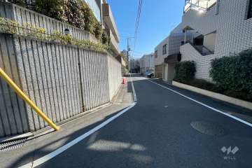敷地南側の前面道路（西側から）