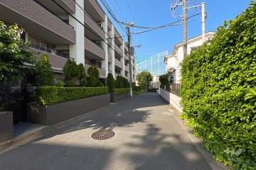 敷地南東側の前面道路（南西側から）