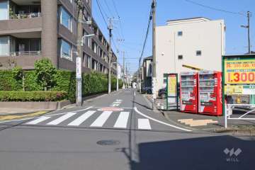敷地南側の前面道路（西側から）