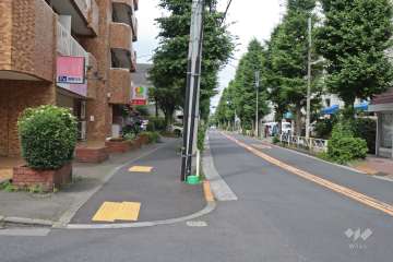 敷地南東側の前面道路は野沢通りです(南西側から)。