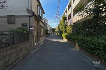 敷地東側の前面道路（北側から）