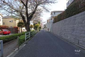 敷地北東側の前面道路　