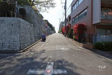 敷地北側の前面道路
