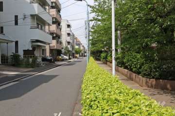 敷地南側の前面道路(東側から)