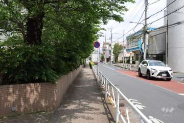 敷地東側の前面道路(南側から)