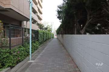 敷地西側の前面道路