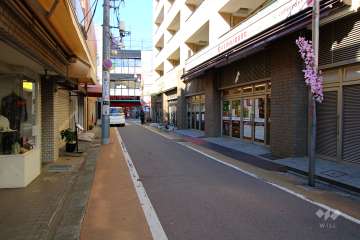 敷地南側の前面道路（東側から）
