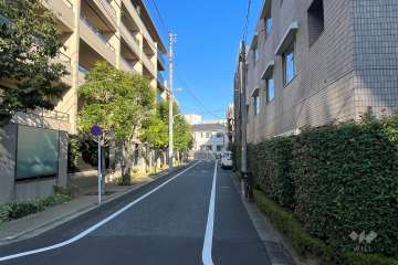 敷地北側の前面道路（西側から）