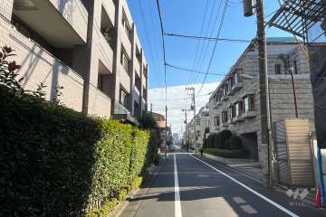 敷地の西側前面道路（北側から）