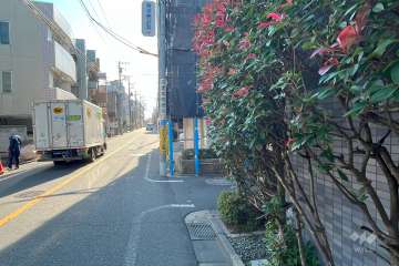 敷地南東側の前面道路（北東側から）