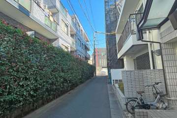 敷地南西側の前面道路（北西側から）