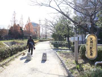 川沿いの遊歩道（天神川散歩道）