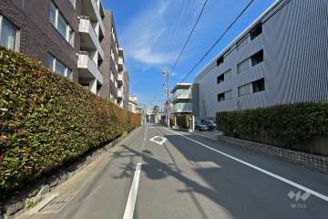 敷地北側の前面道路（西側から）