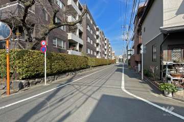 敷地南側の前面道路（南西側から）