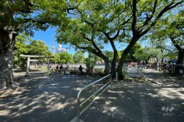 敷地の向かいには自然豊かな『清水池公園』があります。