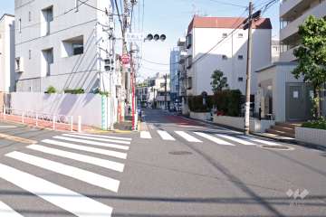 敷地北側の前面道路(西側から)