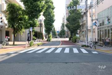 敷地西側の前面道路(北側から)