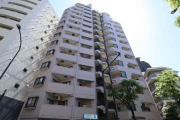 マンションの外観(北東側から)