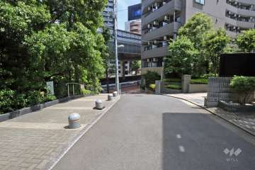 敷地西側の前面道路(南側から)。