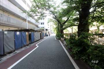 敷地北東側の前面道路(南東側から)