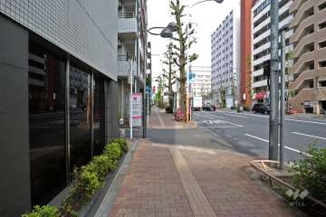 敷地南東側の前面道路(南西側から)