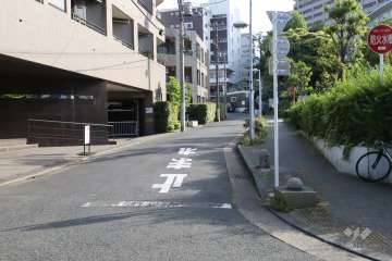 敷地北西側の前面道路(北東側から)