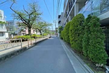 敷地東側の前面道路（北側から）